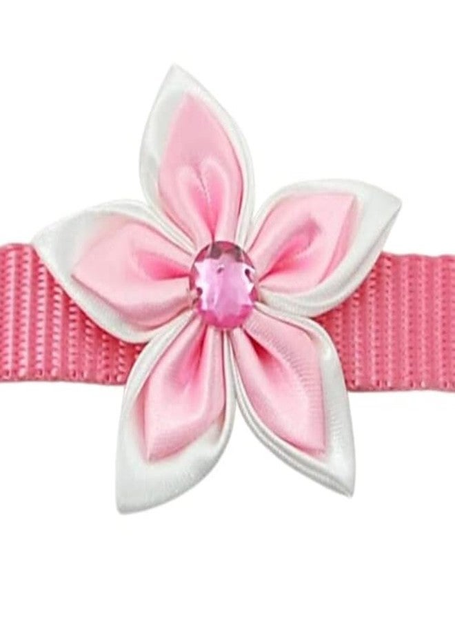 KittuPet Pack of 8 pcs Collar 4 pcs Collar is Flower Deisgn Reverisble Interactive Collar and 4 pcs Bone Print for Your Kitten Pupies Dog Size 10 MM Random Color - Image 2